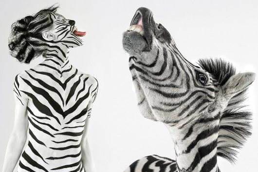 評(píng)選對(duì)比